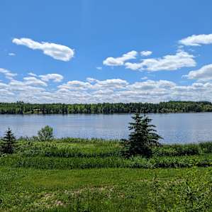 Muriel Lake Beach Field Forest