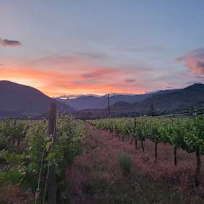 Four Lakes Winery Vista