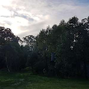 Rose’s Reserve