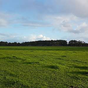 Rose’s Reserve