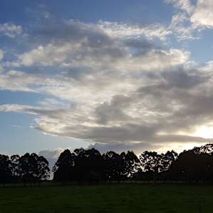Rose’s Reserve