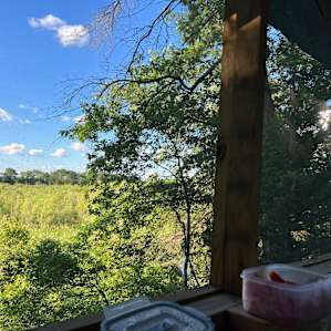 Beaver Point Cabin