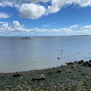 super low tide