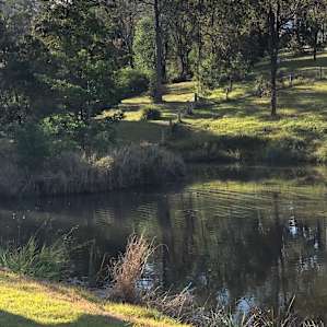 Damside Camping @ Ocean View