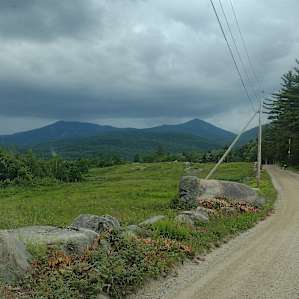 Paugus Brook Farm