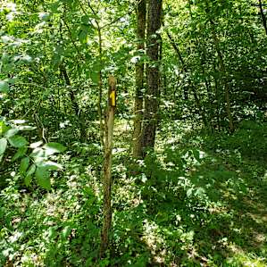 Post marking site 1.
