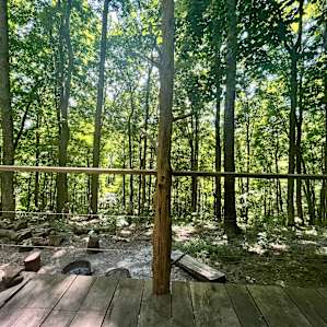 Beech Hollow Hideout
