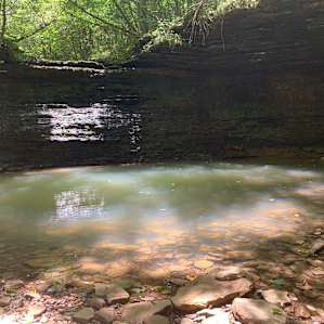 Hillbilly Hippie Hideaway