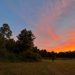 Field & Forest on Prayer Mountain