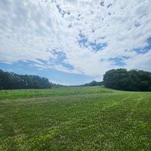 PeaceTree Farms Sunny Meadow
