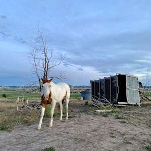 Peaceful Prairie Campsites