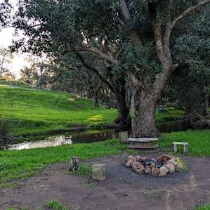 Cattle Gully