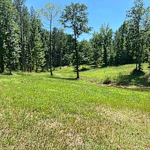 Argo’s Park & Trails