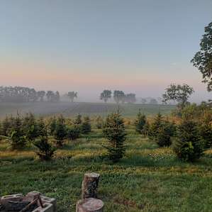 Miller’s Tree Farm -$31 Per Night