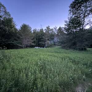 Secluded Camping Getaway