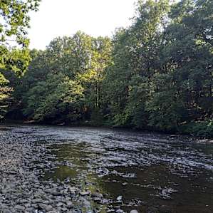Peace and Quiet Along the River!