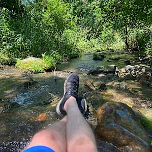 Relaxing in the creek.