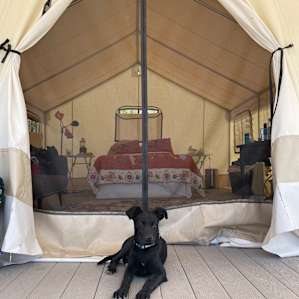 Glamp Tent