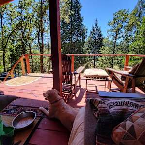 Unique Farm Stay in the Woods