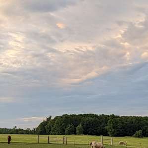Camping on our Organic Farm