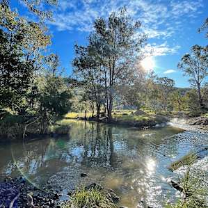 Wynola Country Cousin PlatypusReach