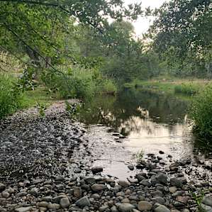 Creekside Camping