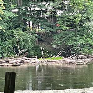 Lochloosa Creek Cove