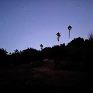 Riverside RV Spot in the oaks