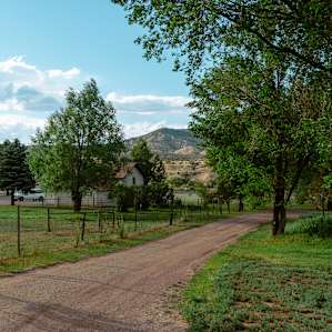 Pretty walking paths around the property.