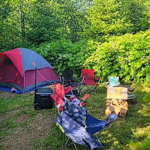 Misty Willow's Camp