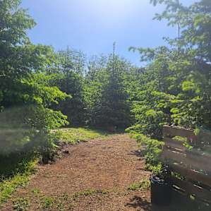 Misty Willow's Camp