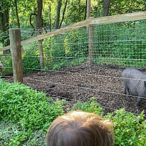 Loved seeing the animals every time we walked to the bathroom- we had to say hello