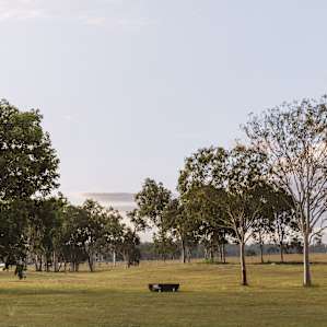 Massive grassy patch for the unpowered site