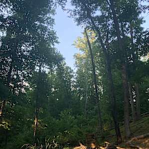 Camping Off The Grid