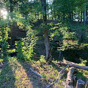 Camping Off The Grid