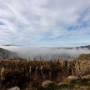 The View AWD Accessible