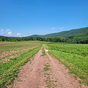 Trails around the property