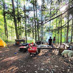 Site #2