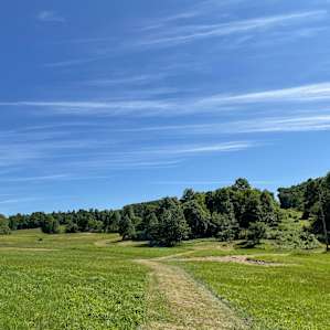 Stargazing Field at Olga Farm