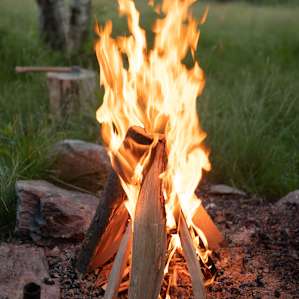 Birch Camp