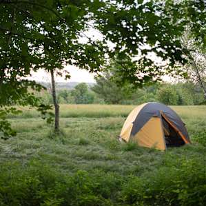 Birch Camp