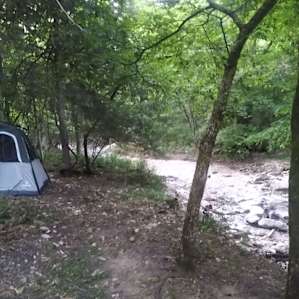 Peaceful Pine Mountain