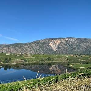 Four Lakes Winery-Vineyard-Orchard