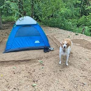 Waterfall camping close to CLT