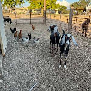 Triple R Ranches