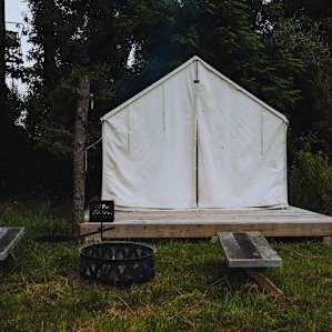 Blackberry Meadows Farm