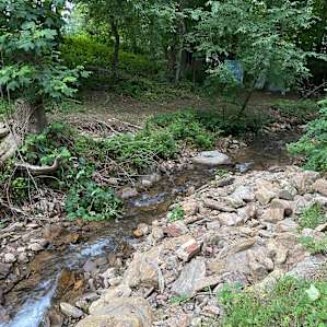 Mystic Mountain Creekside Camping!!