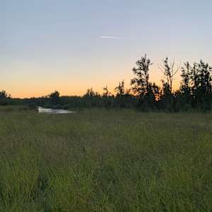 Glamping by North Santiam River