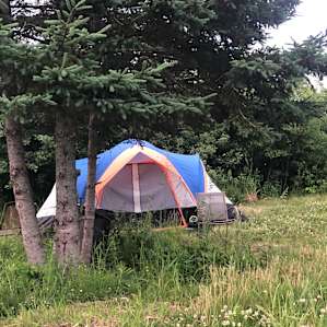 Kavanagh Farm camping
