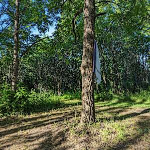 Green Site